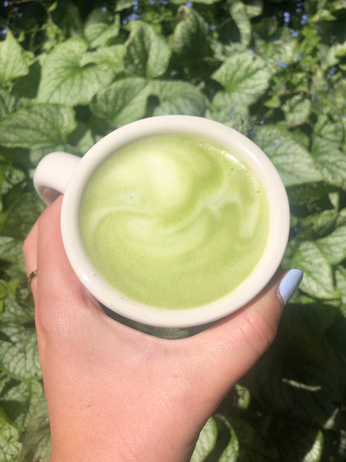 Pure Matcha